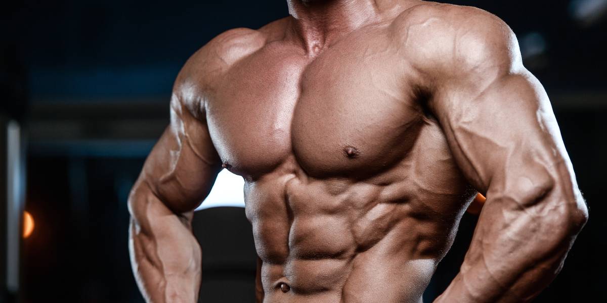 Front-Loading Steroids: What It Means and Does It Work?