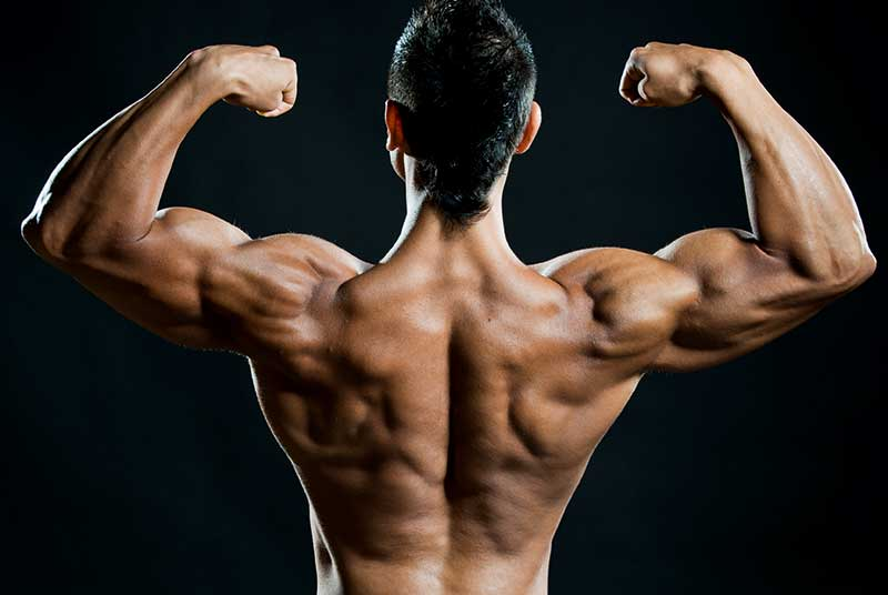 Anabolic Steroids That Pair Best With High-Protein Diets